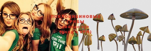 a pvp Аркадак
