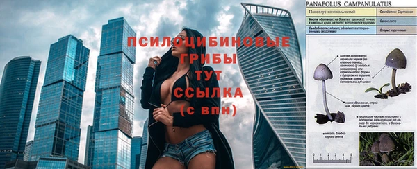 a pvp Аркадак
