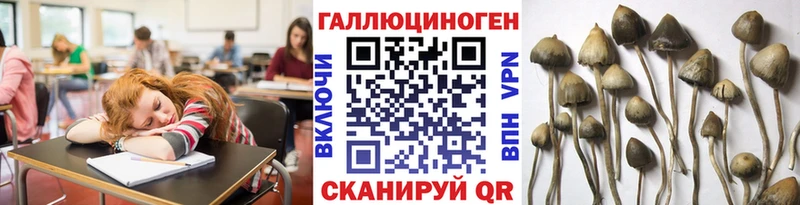 darknet наркотические препараты Красный Кут blacksprut сайт Галлюциногенные грибы Psilocybe где продают наркотики